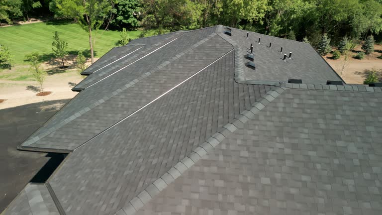 Best Roof Moss and Algae Removal  in Brush Prairie, WA